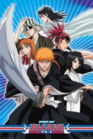 Bleach