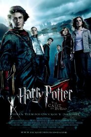 Harry Potter và Chiếc Cốc Lửa